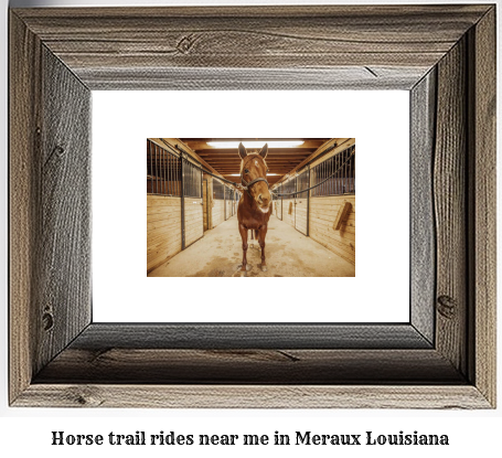 horse trail rides near me in Meraux, Louisiana